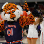 images (9)