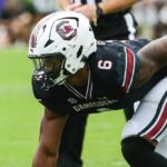 south-carolina-gamecocks-freshman-dylan-stewart