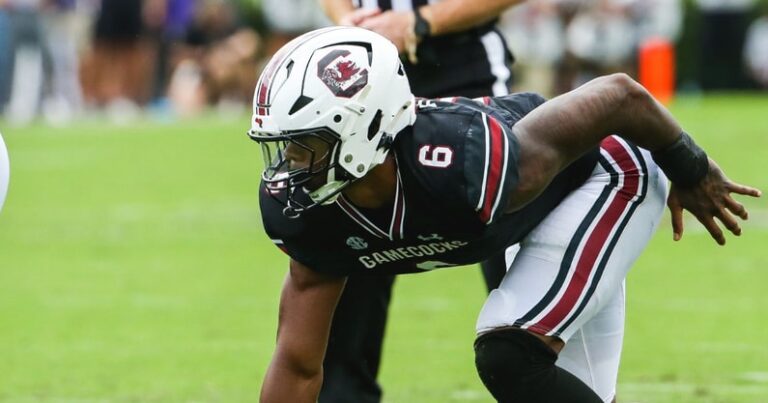 south-carolina-gamecocks-freshman-dylan-stewart